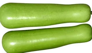 Dudhi California Vegetable, 1 lb