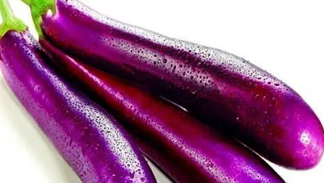 Chinese Eggplant 1 lb at Towne Market, Burlington MA