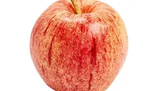 Gala Apple Vegetable, 1 lb
