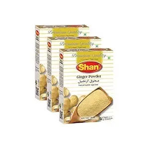 Shan Ginger Powder Spices, 100 gm