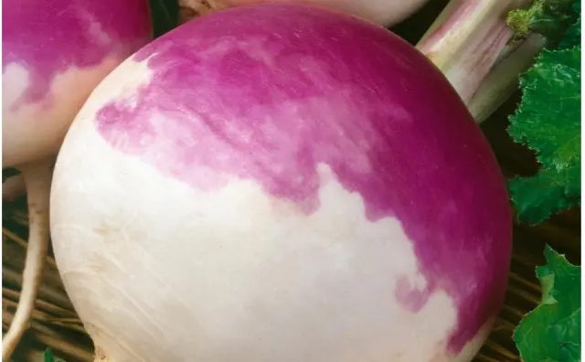 Turnips 1 lb at Towne Market, Burlington MA