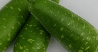 Bengali Squash Vegetable, 1 lb