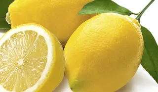 Lemon Lemon