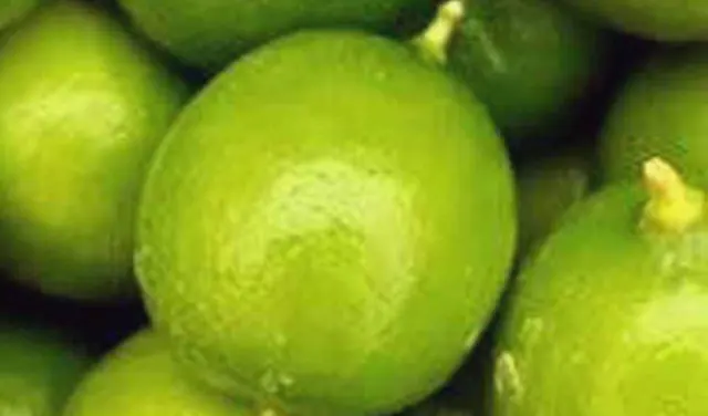 Limes 3 ct at Towne Market, Burlington MA