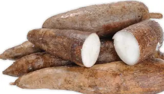 Yuca