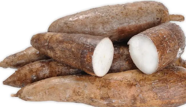 Yuca 1 lb at Towne Market, Burlington MA