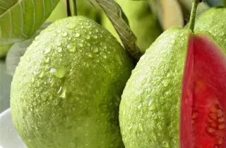 Guava Guava