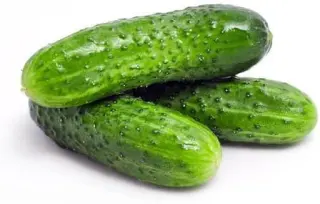 Pickle Cucumber