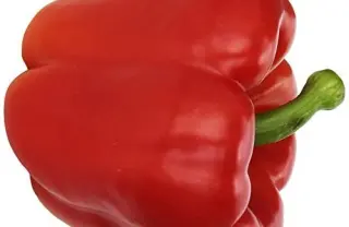 Red Pepper