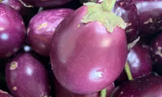 Round Eggplant