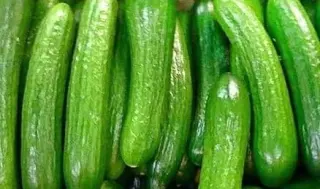Baby Cucumber