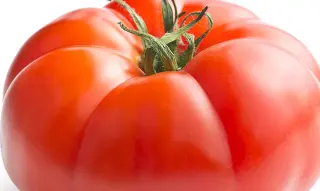 Big Tomato