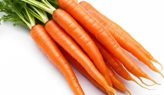 Jumbo Carrot