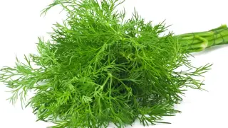 Dill Leaves Vegetable, Bunch