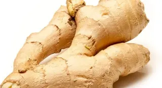 Regular Ginger Regular Ginger