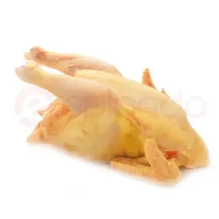 Hard Chicken Hard Chicken